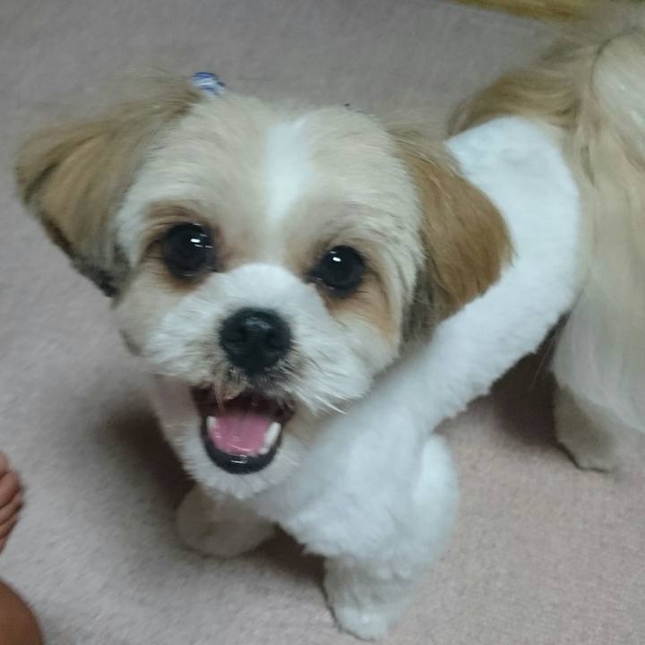 62a1f3fd fb5f 4324 af6d 59344f5b9d1d