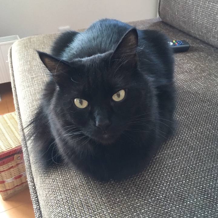 62a2102b e933 448a 86a5 2d67ec7fd4fe