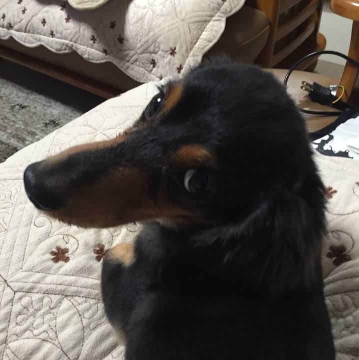 62a29bd4 3ff3 42a4 b4c2 838f5b4bcf65