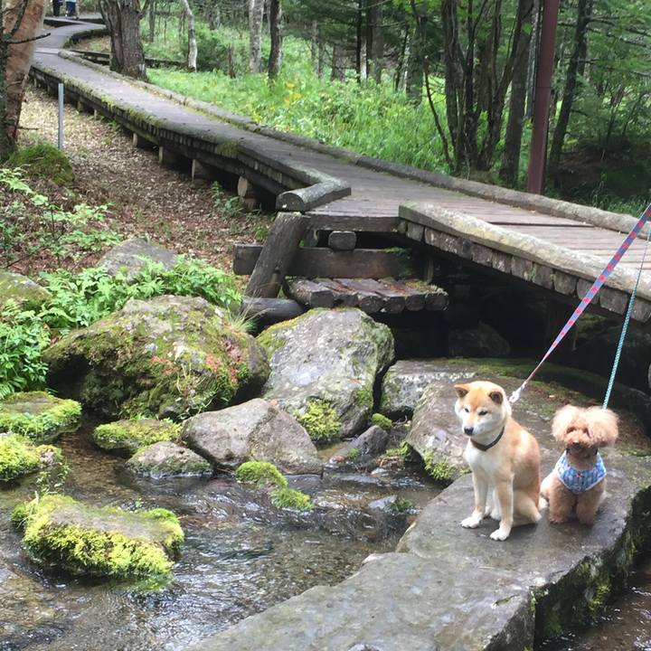 62a3721d a8ec 4920 ba3f fcbd36b0e479