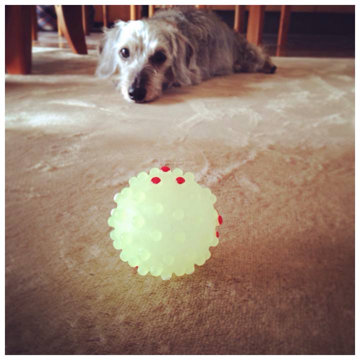 62a3bb52 1750 436d 96b5 5609d0403601