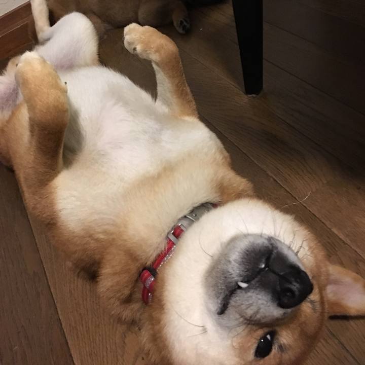 62a3db58 dca0 4fb2 b192 9d523a0ab220