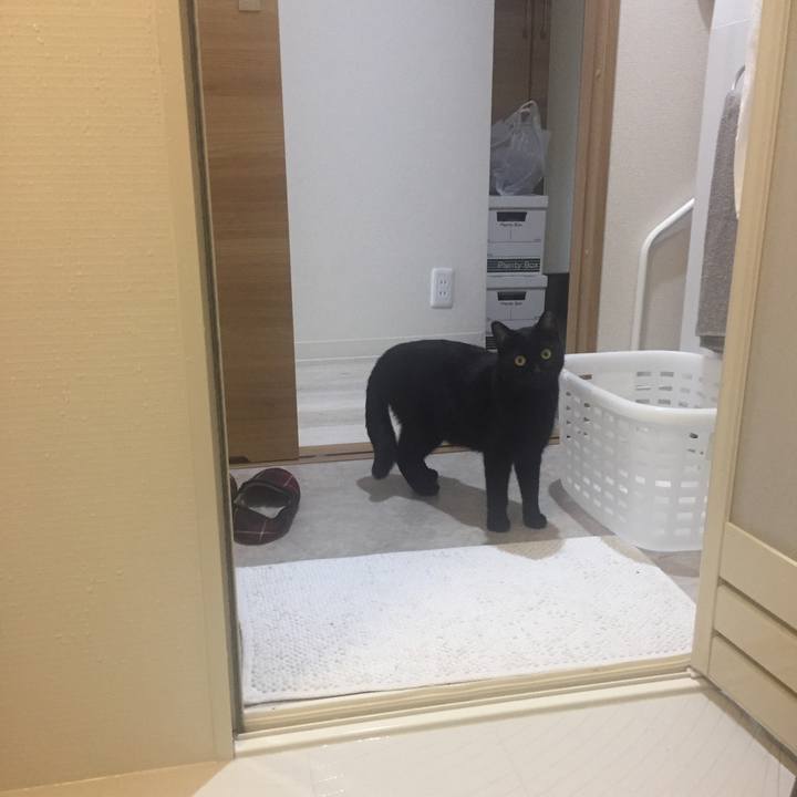 62a45311 337a 486d b620 8f0626cbddd0