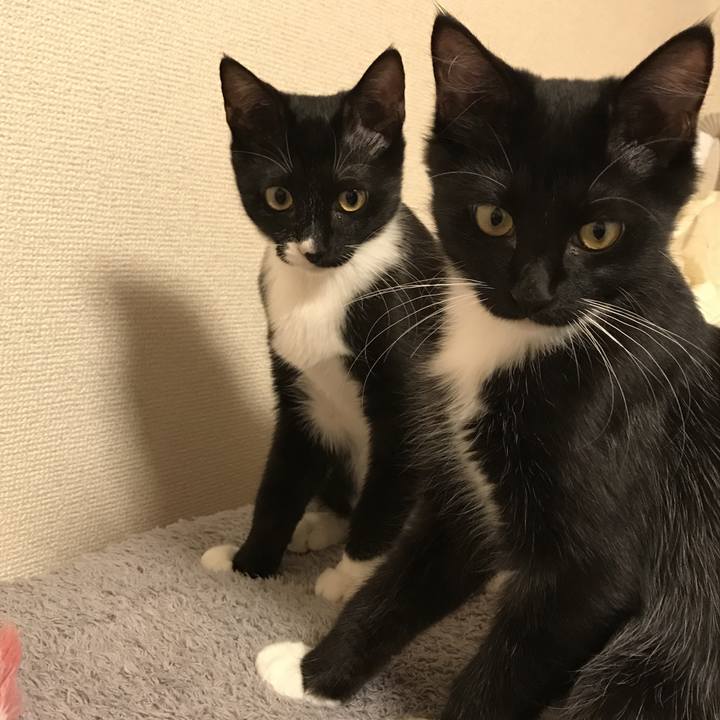 62a4b675 5e4a 4fc2 9c4a 1baf079fad37