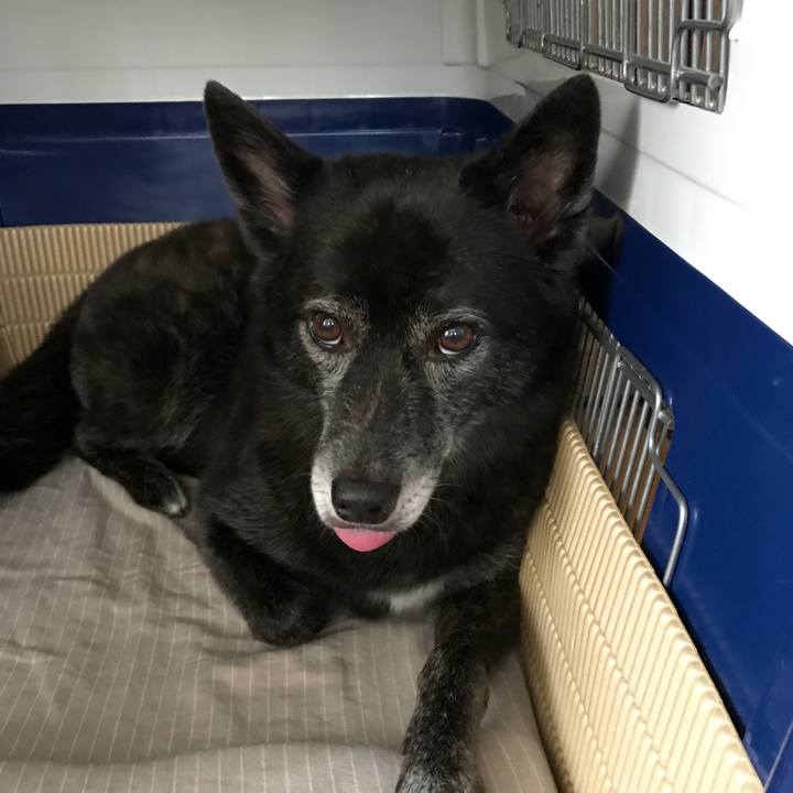 62a4ddd8 899b 4508 aed9 c374dc02d93b