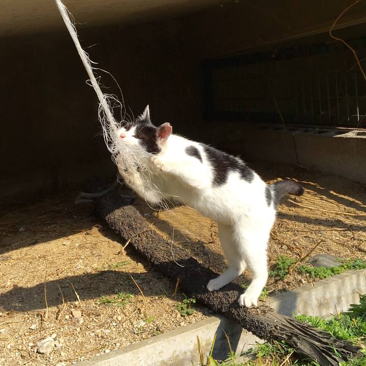 62a4ff9e 2df6 4c33 b046 8c5f27c6af57