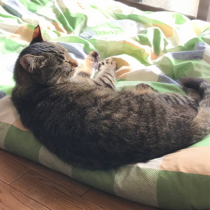 62a52471 efd6 4eed a471 92d5b05af741