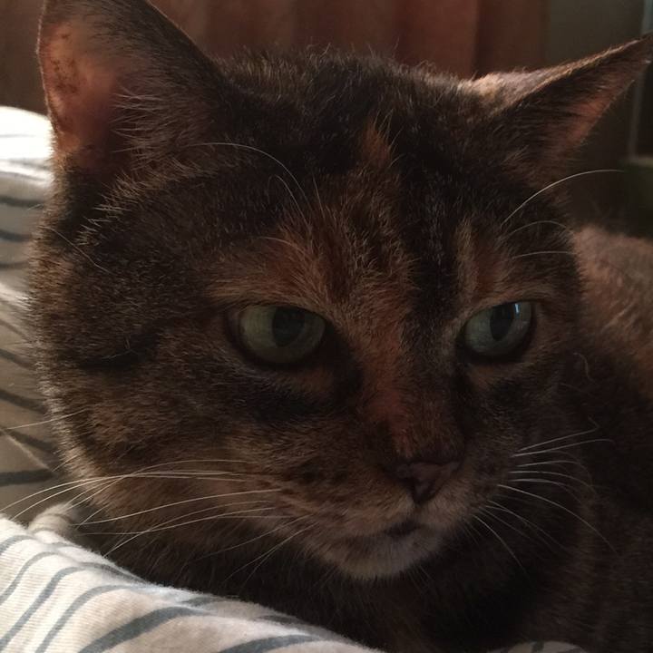 62a52dc6 7716 43e8 8042 e4fb9506eb85