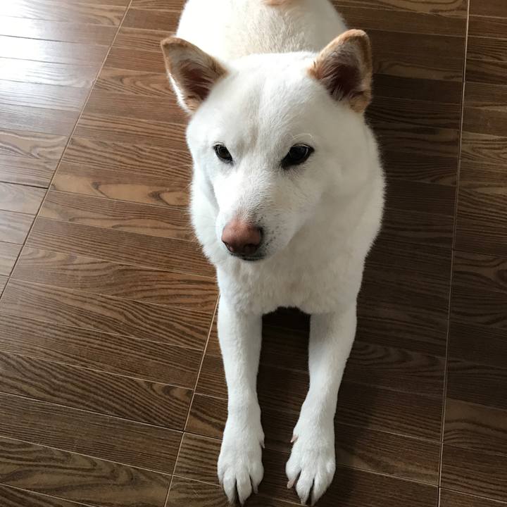 62a65240 6621 42a4 9f0f a735c00d32cc