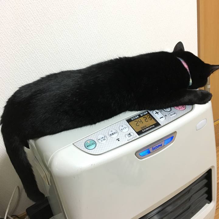 62a7b6ee b987 4a18 8d5d 2cdbf6315adb