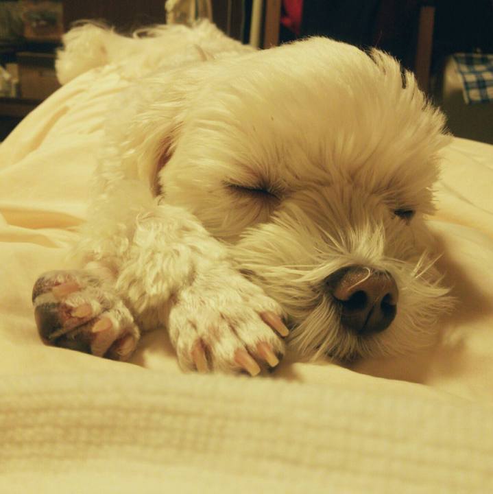 62a8c0a0 5488 4e70 87ca 8490abe3c848