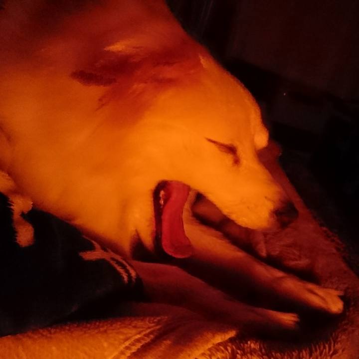 62a97b02 2b11 47b8 b80a a6468ad51d96