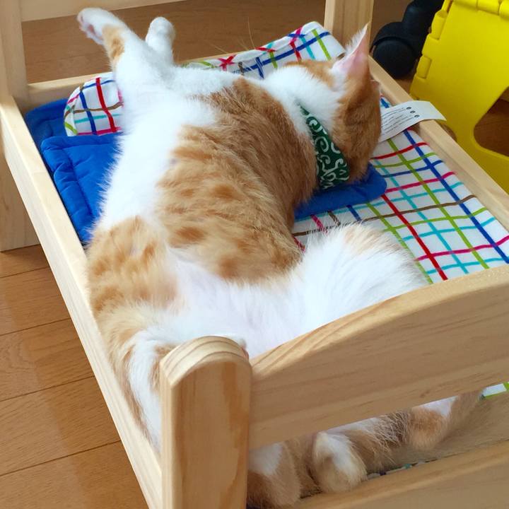 62aa14d4 7925 44fc bc16 7230890dfcb2