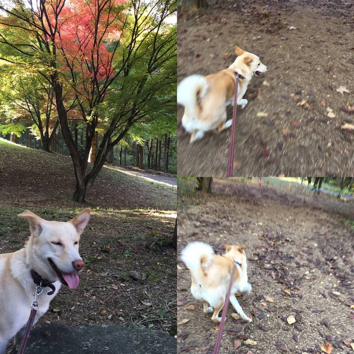 62aa70ec 8205 476e 9b21 ff4b17be86ab