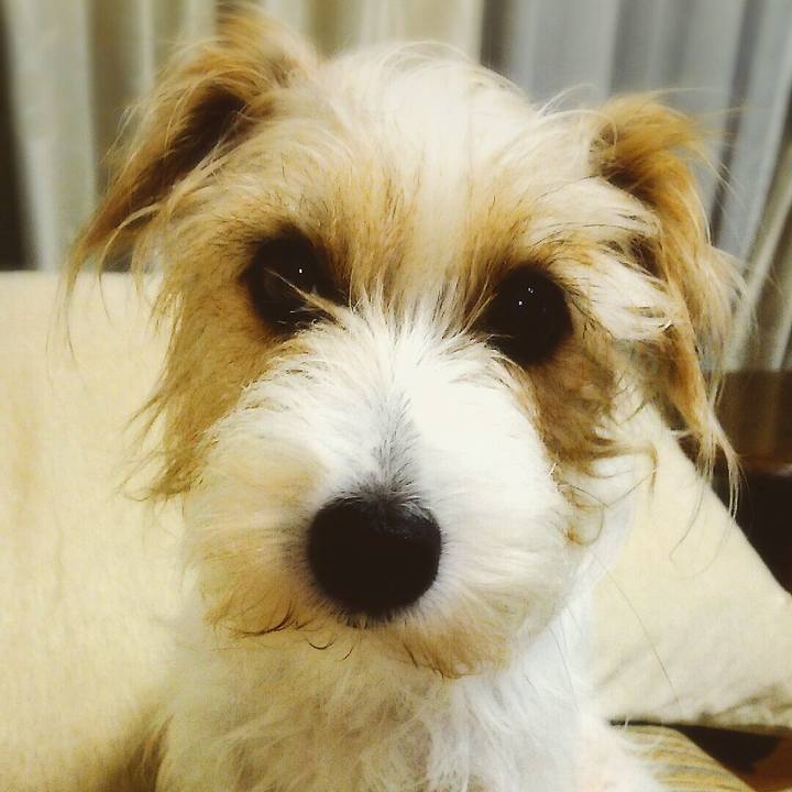 62ab4eb4 274f 4dd3 bf30 eb9e2f2bf4fc