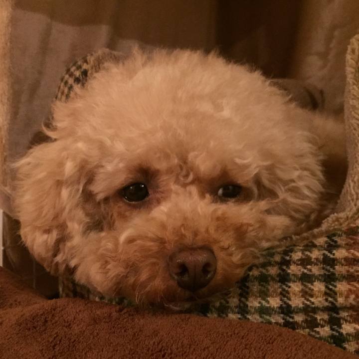 62ab56b1 68b3 481f 827e 4cc507815acf