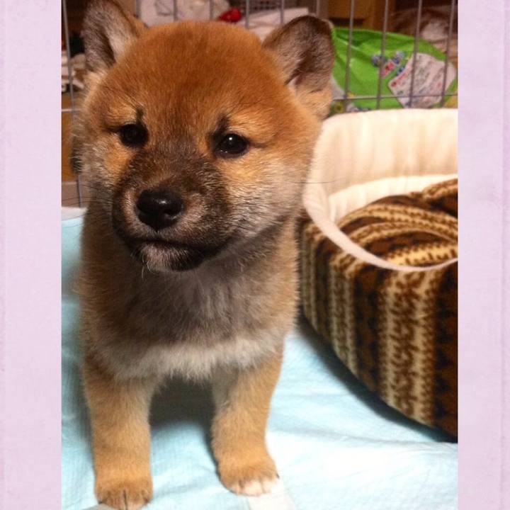 62ab7ad8 99a4 4643 a04c e296f270d70f