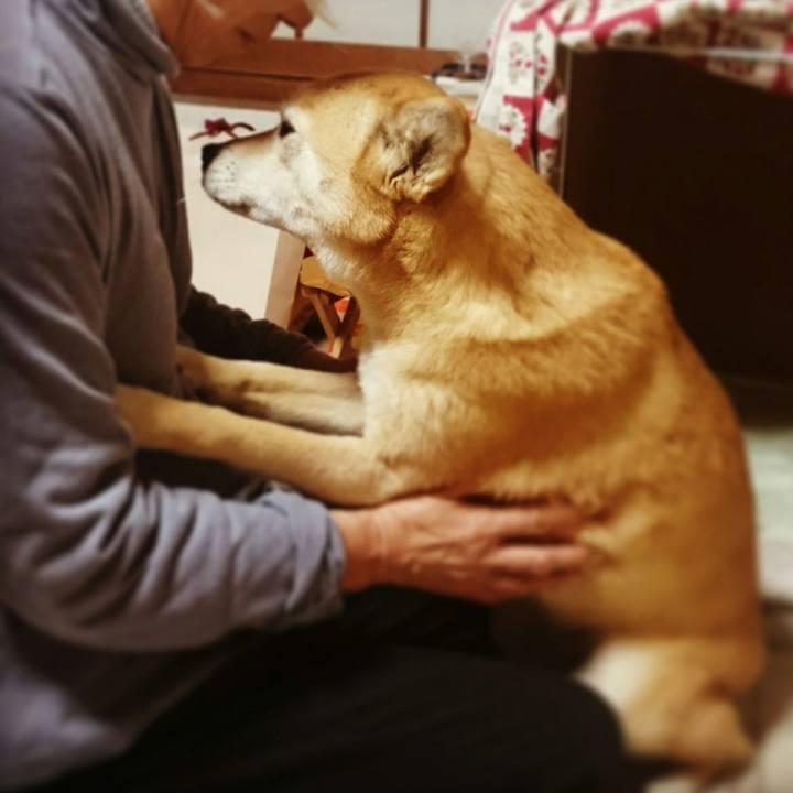 62abd91e bee5 4562 a607 4712d197fece