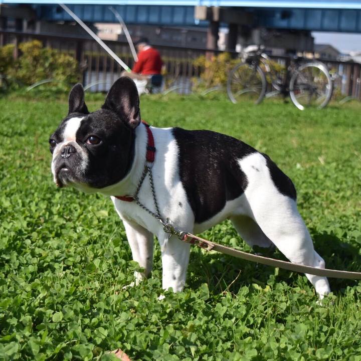 62ac47fe a631 44e9 971a 6a21ccd9e9bf