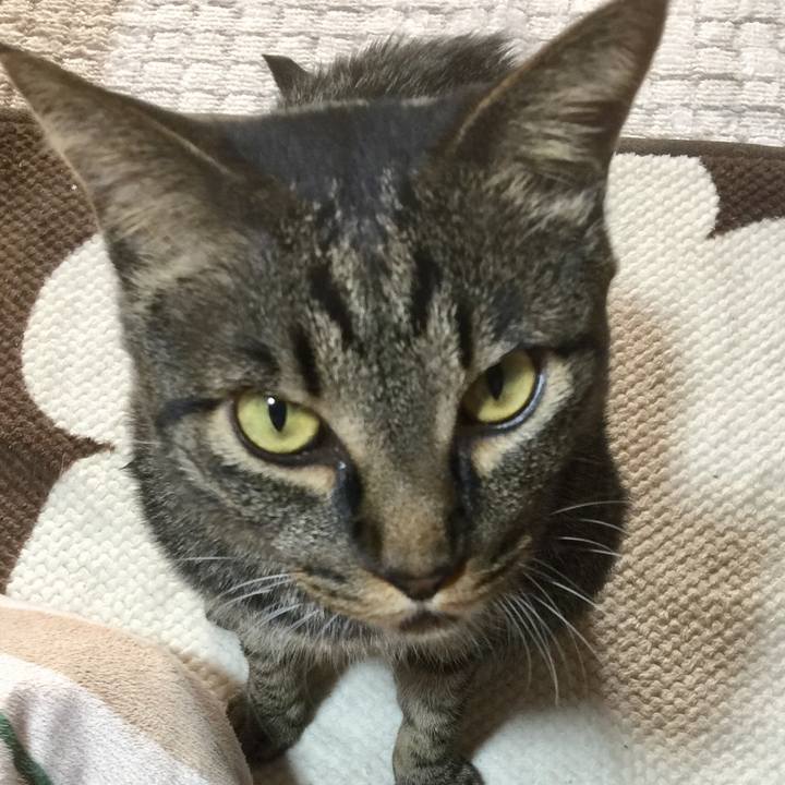 62acf67b fbdd 4e69 9b15 f3b7050bb98f