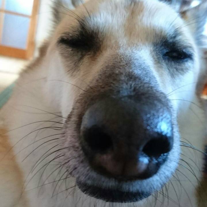 62ad0682 4a0c 49be 8828 ac2a9dedb1d8