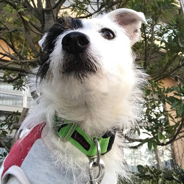 62ad4410 7fed 4e8a 8105 57878b0200bb