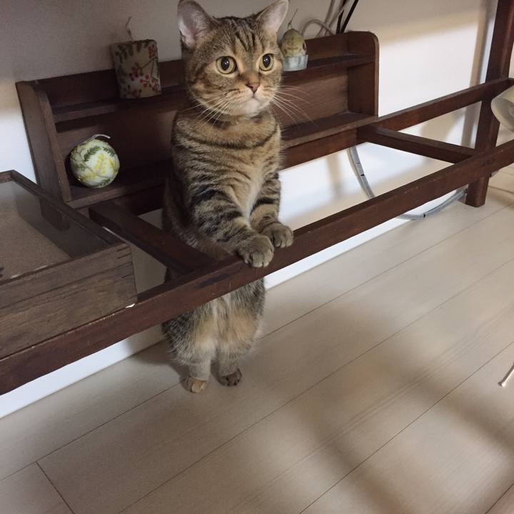 62ae122d 63b5 4003 a03d 8c31d2a582e8