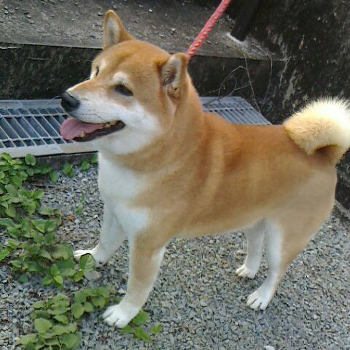 62ae206b dd49 4db6 b338 6a066253ce88