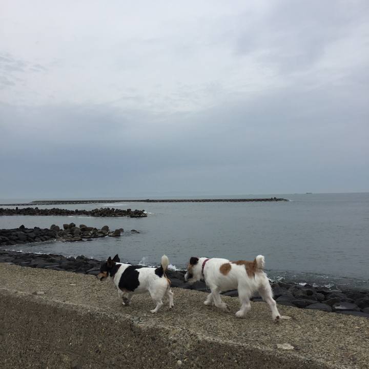 62ae71a5 122d 4828 a021 105050590022