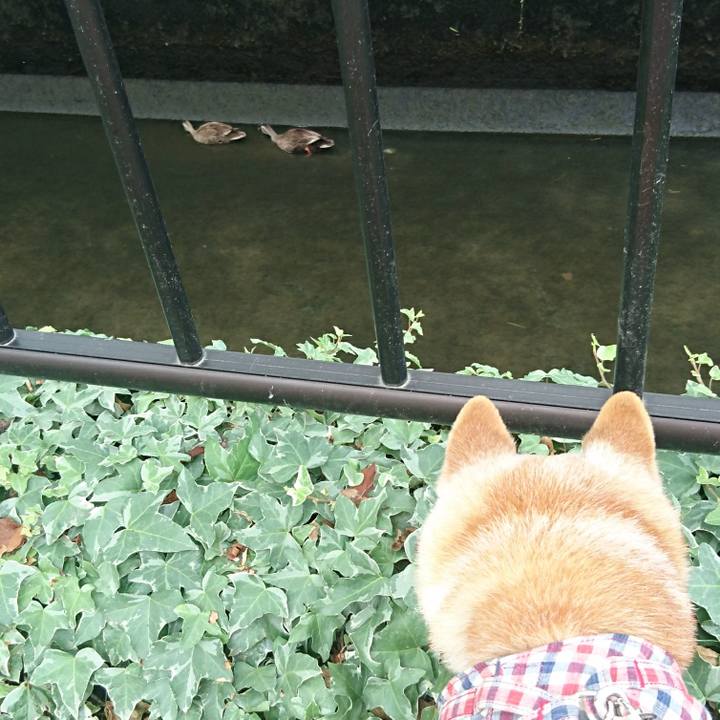 62afb808 73f2 4f79 bc4e 5a187ed1cecb