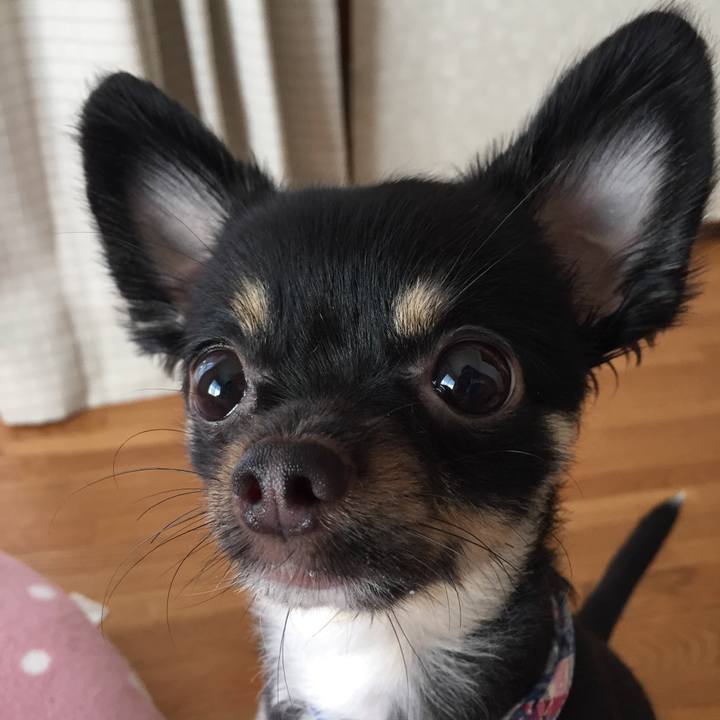 62afe9a5 ca61 48f2 bc3f fdf750fa1a69