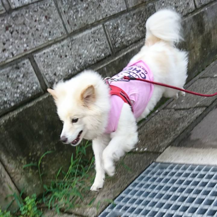 62b0a470 2f7c 4524 889e 59e045abf3ed