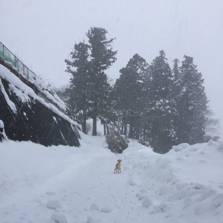 62b0a94c 1b7a 4e54 8c8c 4b183b0da7ba