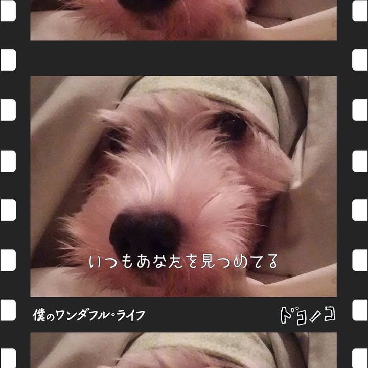 62b0cedd 41c3 452c b615 b2d7cb794e76