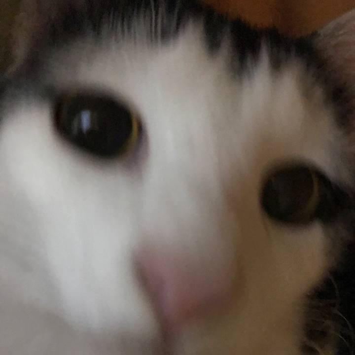 62b1d7f6 d963 4930 838f f9d0d58d850d