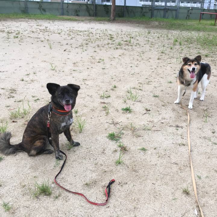 62b1e278 4a56 4e29 8781 14934a891696