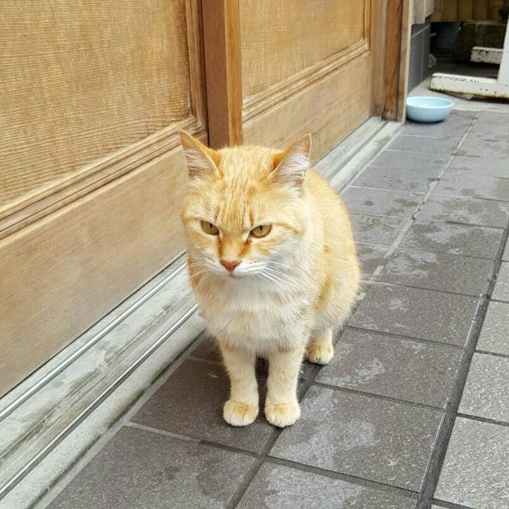 62b24b7f e31a 4252 8535 0a8e96f25bfd