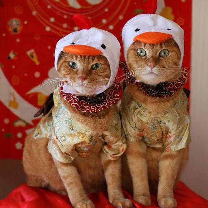 62b25d6c c13d 4a0e a572 7a998f69631b