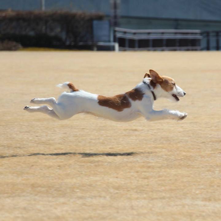 62b34d1e afe0 4113 8f3c ab6f1fef2293