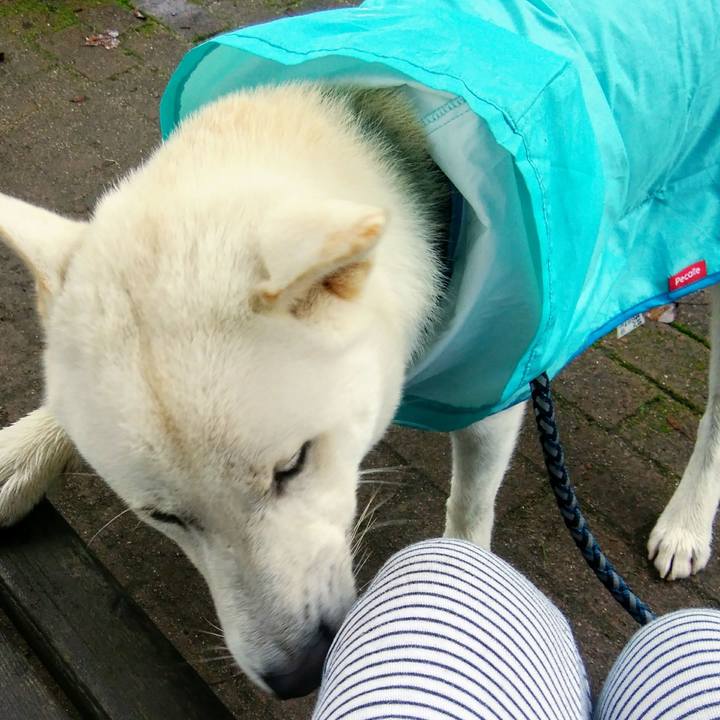 62b37bea 8ab7 4c45 85be f6d407deb47d