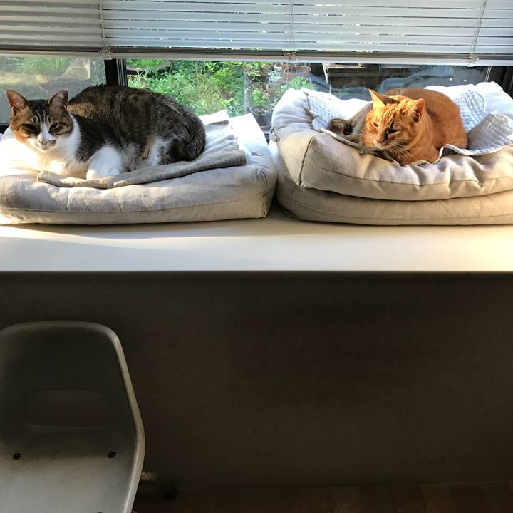 62b3ef12 9d07 40c0 91ef 0b2fbe45f63e