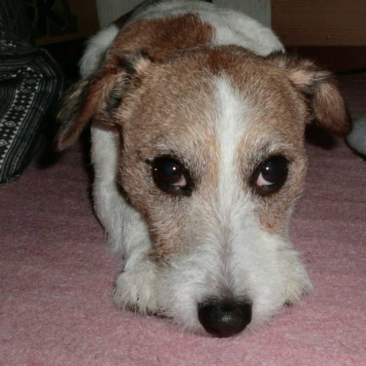 62b40f1d c007 45b6 9ba8 baea21c3a26e