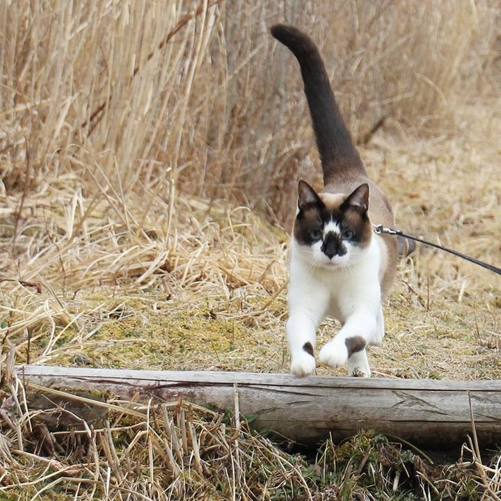 62b4b546 f73c 420f be55 f2f33614dccb