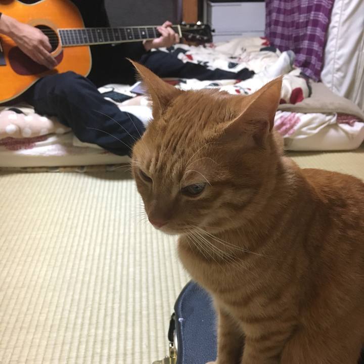 62b4ba37 1265 4cd5 8e21 5d5aa4cf819c