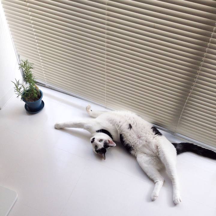 62b5b5ad 1f8e 48f0 a589 7a4160d87dcc