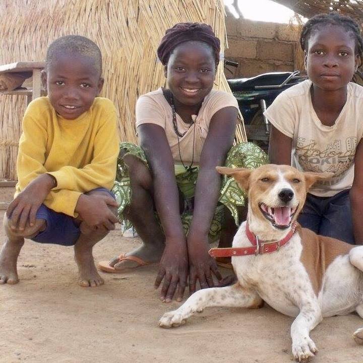 62b60598 3a04 4ac9 a472 2495ea6f709f