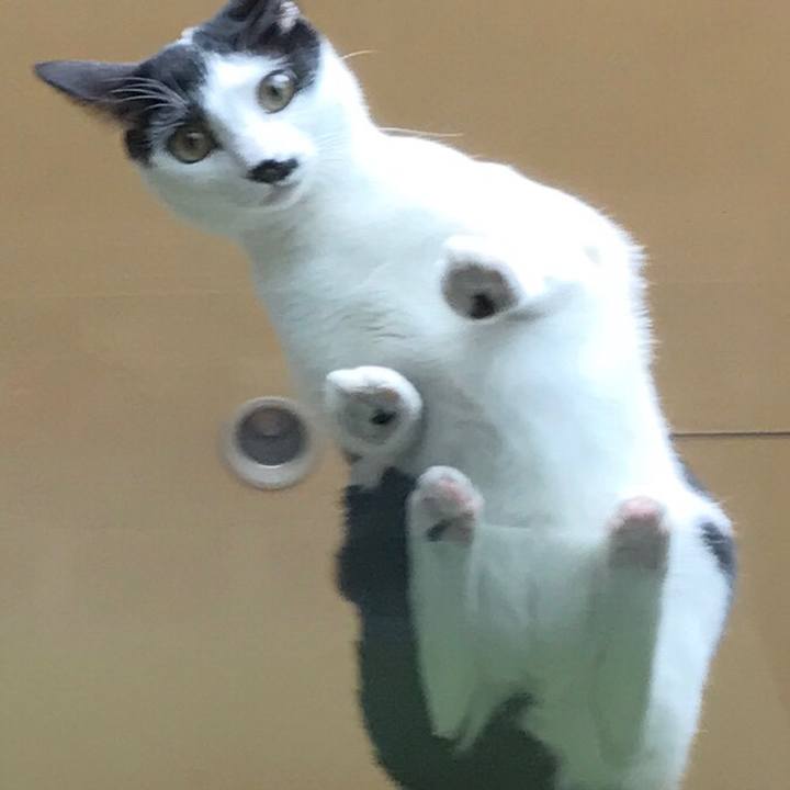 62b673b3 9a0d 4293 b57c 83cf87272a53