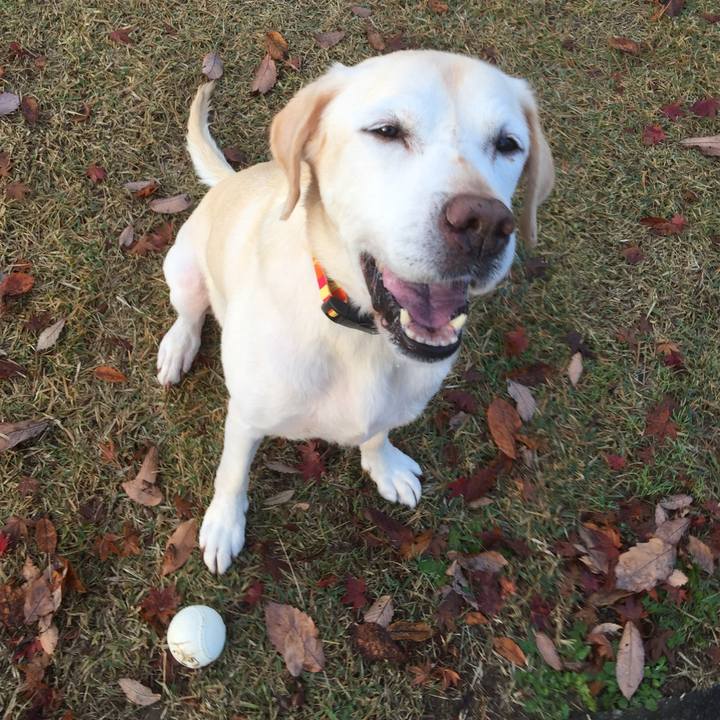 62b6fcf6 cc74 4df1 985f ee0bf5f0601c