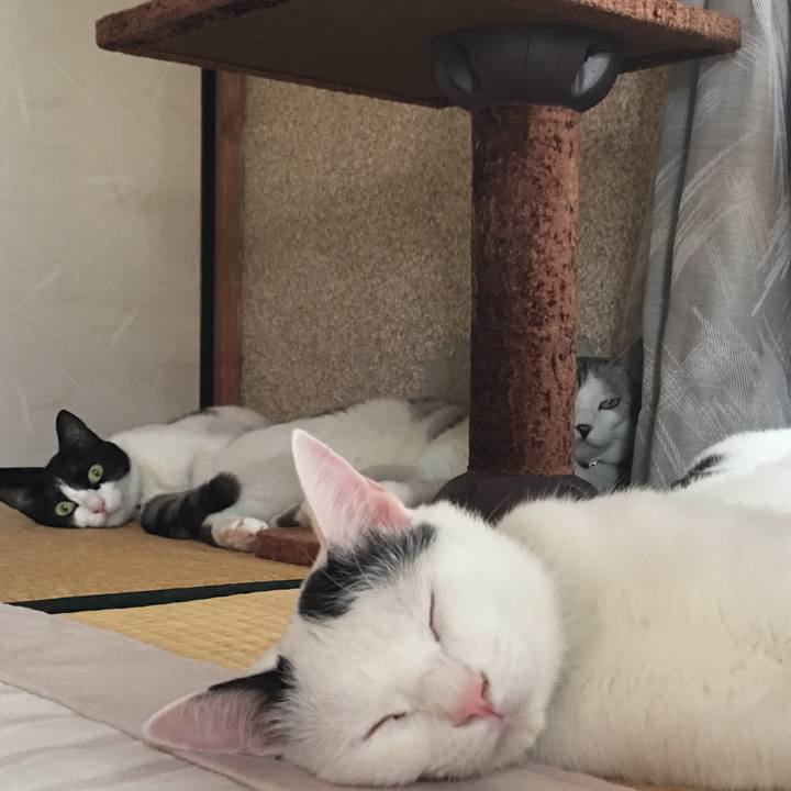 62b7065b 1999 49ce 8ed8 cec0728f22ed