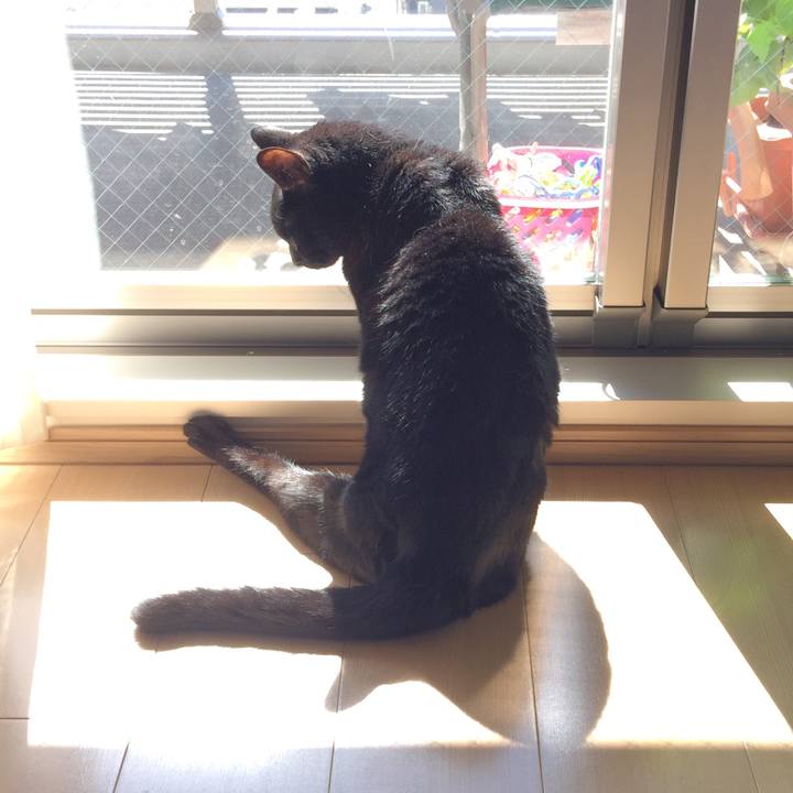 62b71fc0 fea9 441c 8c25 51d43b6b314a